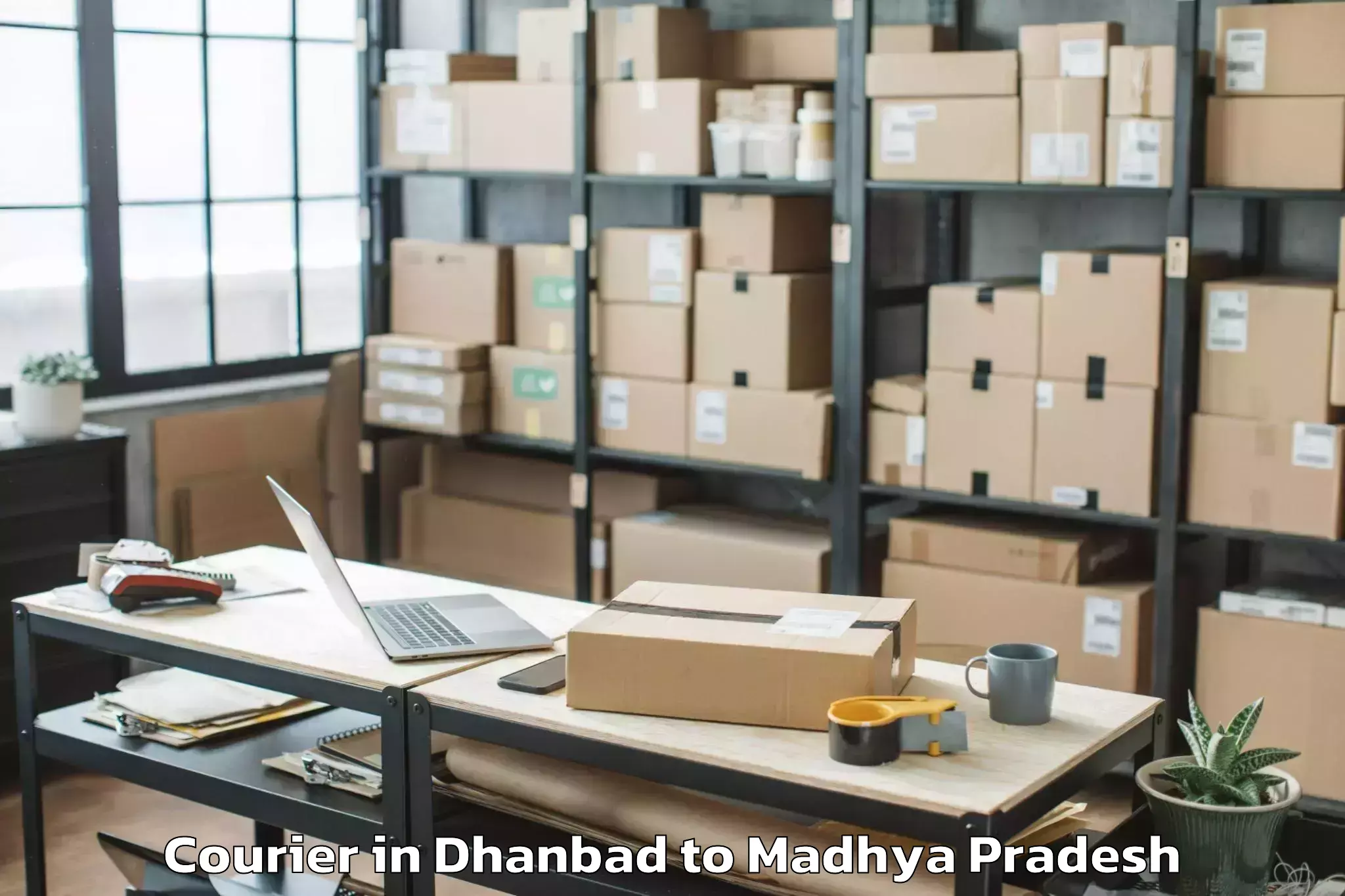 Professional Dhanbad to Narsimhapur Courier